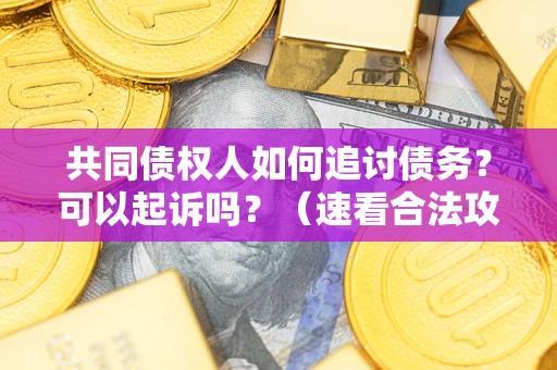 济南共同债权人如何追讨债务？可以起诉吗？（速看合法攻略）