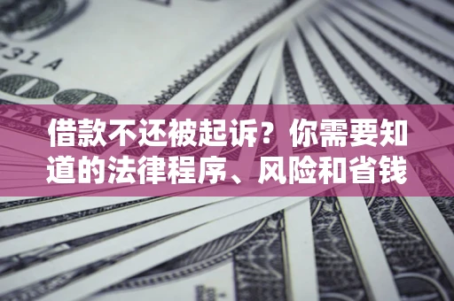 济南借款不还被起诉？你需要知道的法律程序、风险和省钱技巧