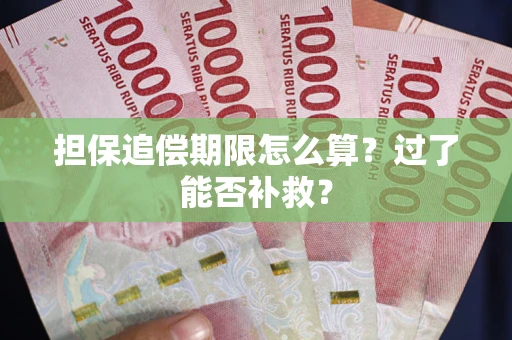 济南担保追偿期限怎么算？过了能否补救？